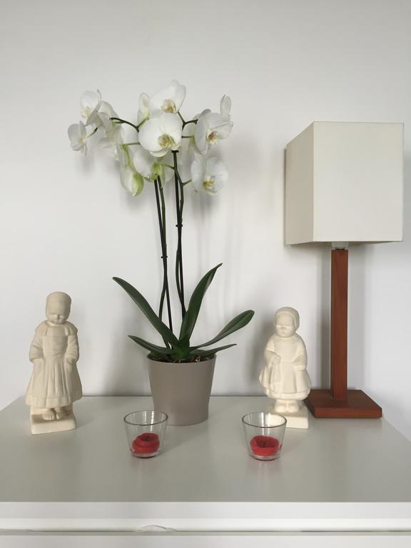 Appartement Design I - Port Du Rosmeur - Douarnenez Extérieur photo